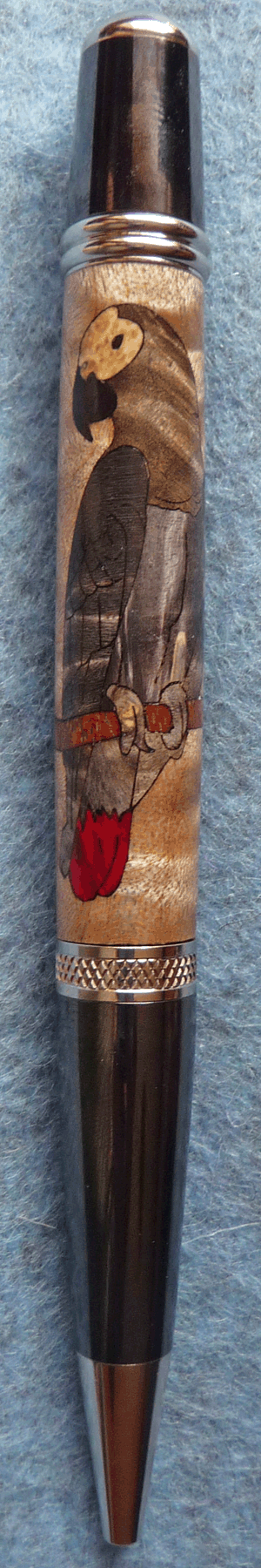 AfricanGreyParrot AfricanGreyParrot