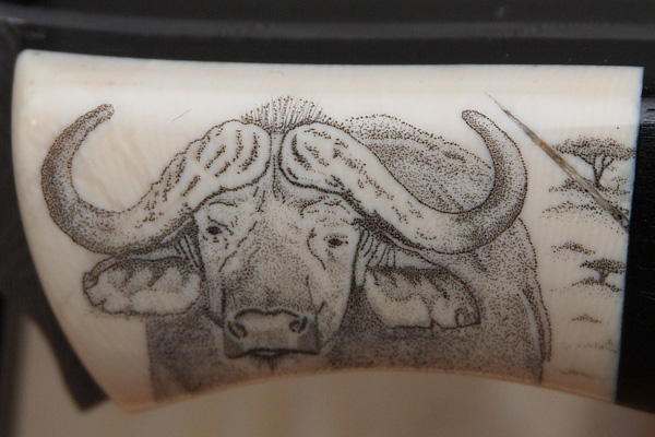 Big5Büffel 600x400 Big5Büffel 600x400