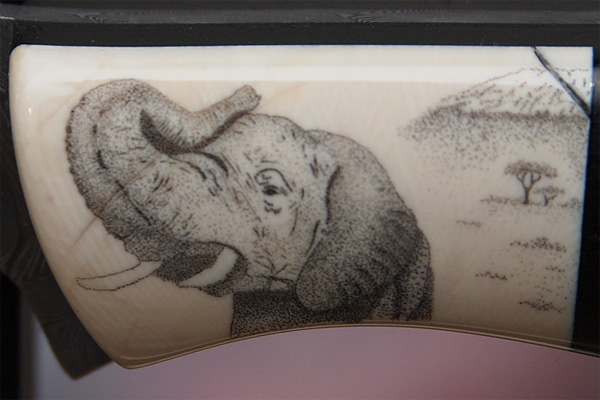 Big5Elefant2 600x400 Big5Elefant2 600x400