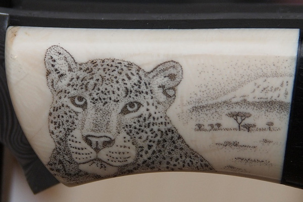 Big5Leopard 600x400 Big5Leopard 600x400