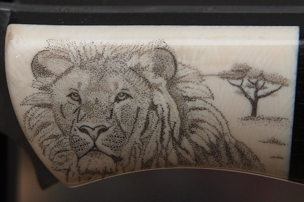 Big5Löwe 600x400 Big5Löwe 600x400