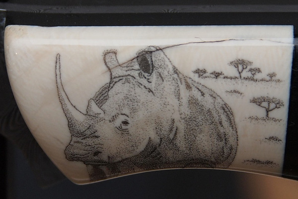 Big5Nashorn 600x400 Big5Nashorn 600x400