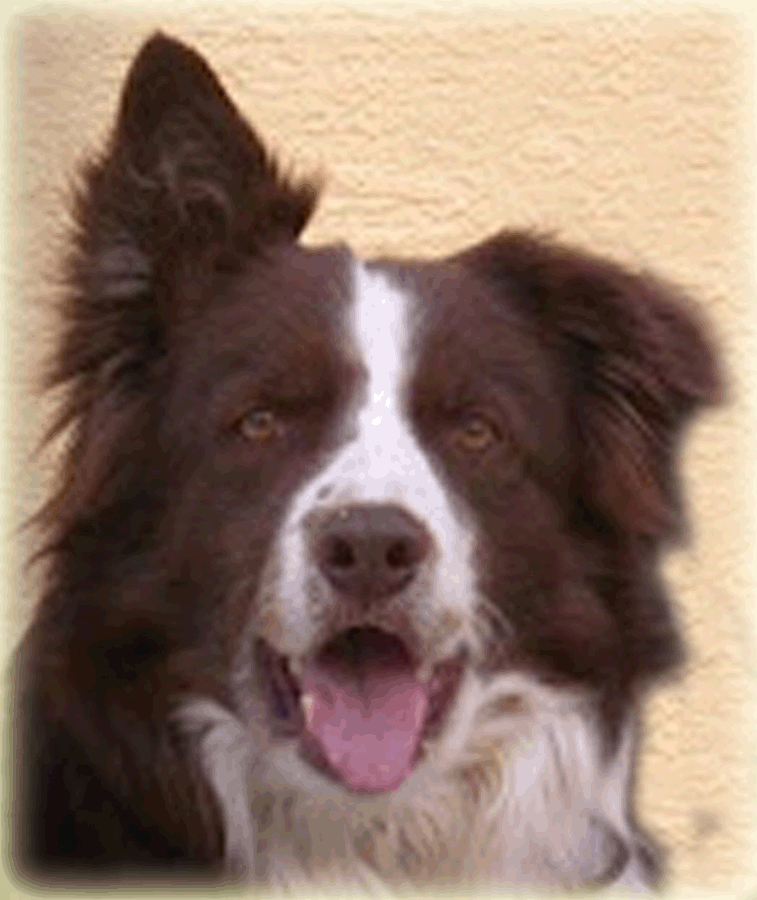 Felix Foto Felix Foto