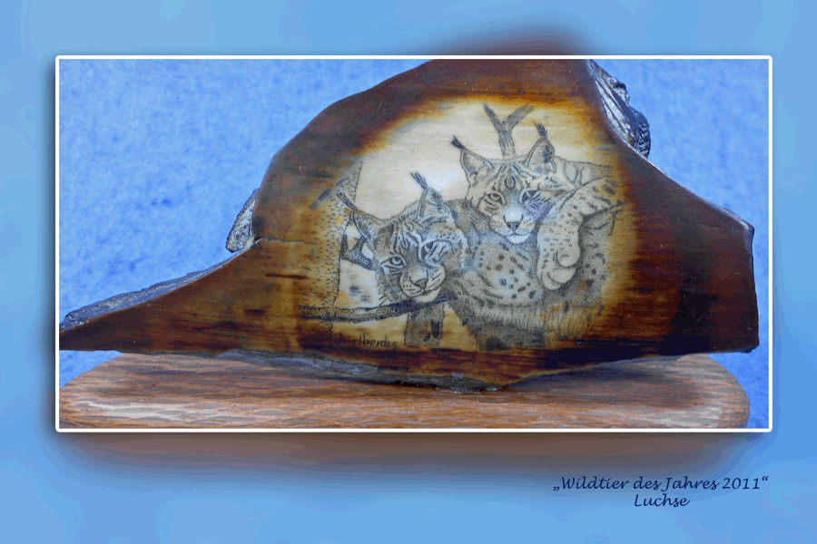 Luchse2011 Luchse2011